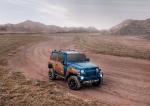 Troller TX4 2020 года